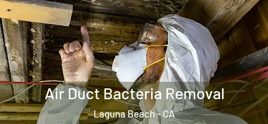 Air Duct Bacteria Removal Laguna Beach - CA