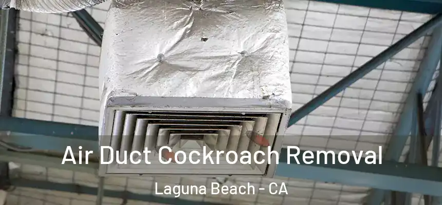  Air Duct Cockroach Removal Laguna Beach - CA