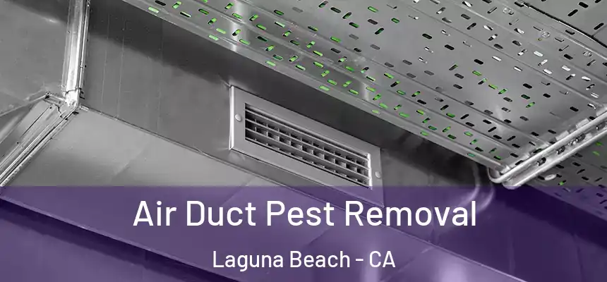  Air Duct Pest Removal Laguna Beach - CA