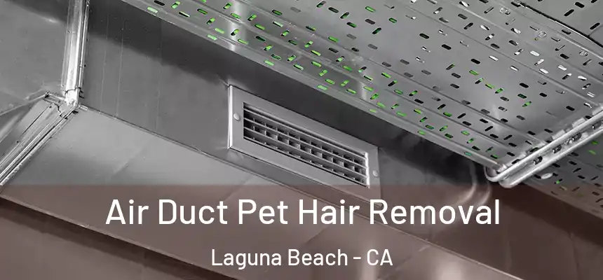  Air Duct Pet Hair Removal Laguna Beach - CA