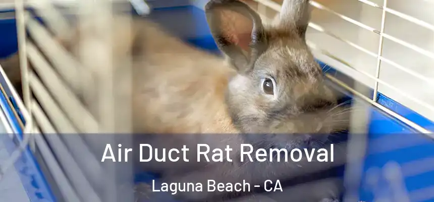 Air Duct Rat Removal Laguna Beach - CA
