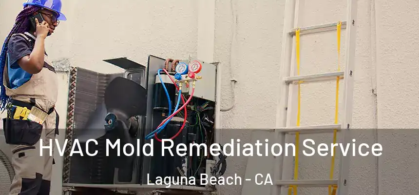 HVAC Mold Remediation Service Laguna Beach - CA