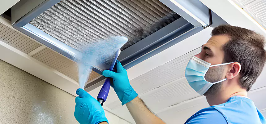 Proactive Dryer Vent & Auxiliary Duct Pollen Cleanup in Laguna Beach, CA