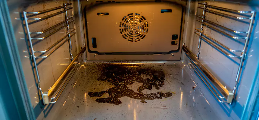 Our Dryer Vent Mold Cleaning Services in Laguna Beach, CA