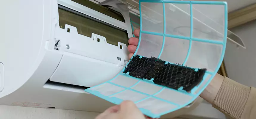 Gentle Ductwork Odor-Control Pet Dander Duct Cleaning in Laguna Beach, CA