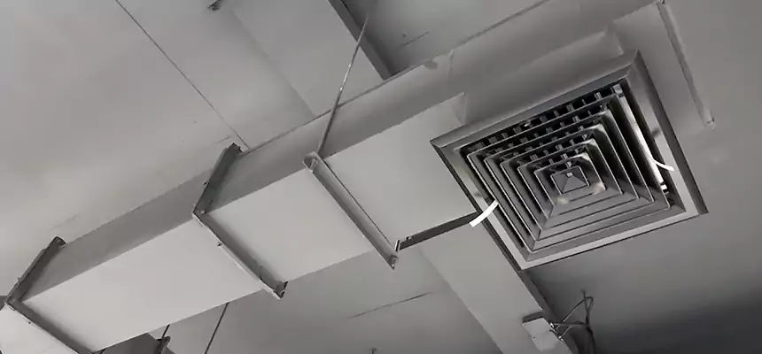 Our Rodent Droppings In Vents Services in Laguna Beach, CA