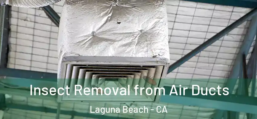  Insect Removal from Air Ducts Laguna Beach - CA