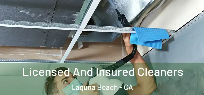  Licensed And Insured Cleaners Laguna Beach - CA