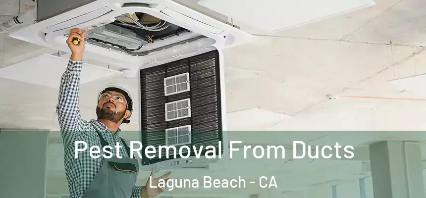  Pest Removal From Ducts Laguna Beach - CA