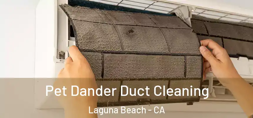  Pet Dander Duct Cleaning Laguna Beach - CA