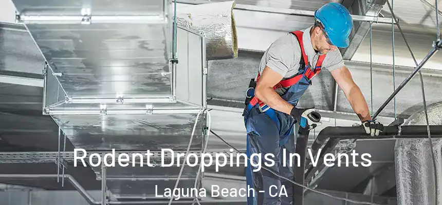 Rodent Droppings In Vents Laguna Beach - CA