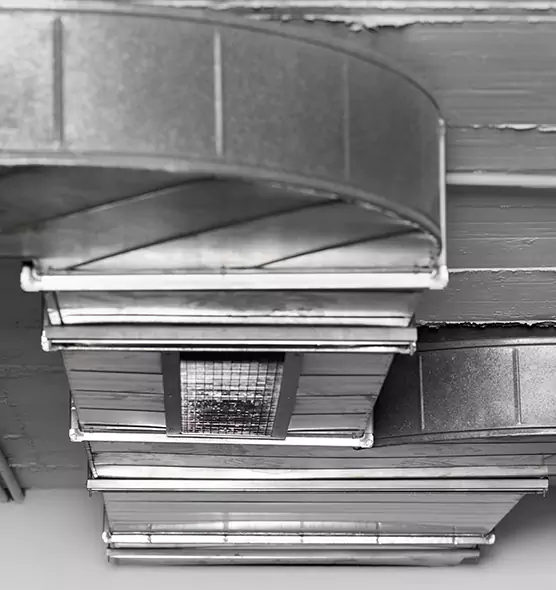 Professional Air Duct Pest Removal in Laguna Beach, CA