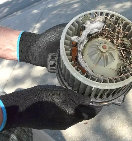 About Air Duct Rat Removal in Laguna Beach, CA