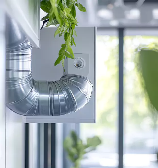 Professional Eco-Safe Dryer Vent Cleaning in Laguna Beach, CA