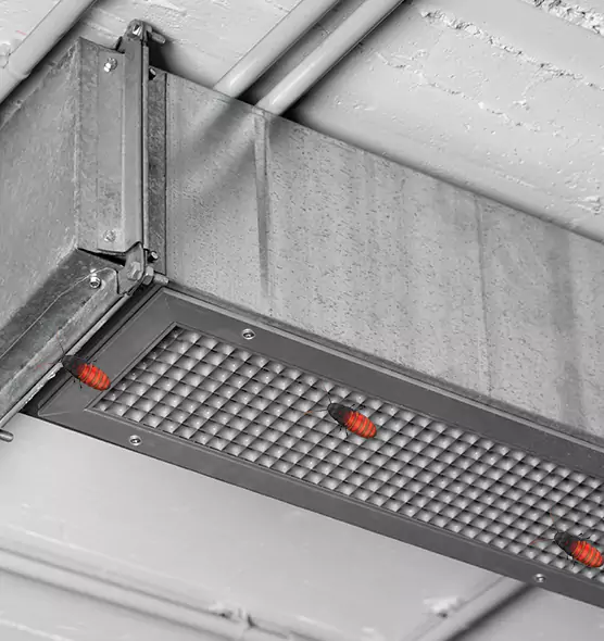 Affordable Insect Removal from Air Ducts in Laguna Beach, CA