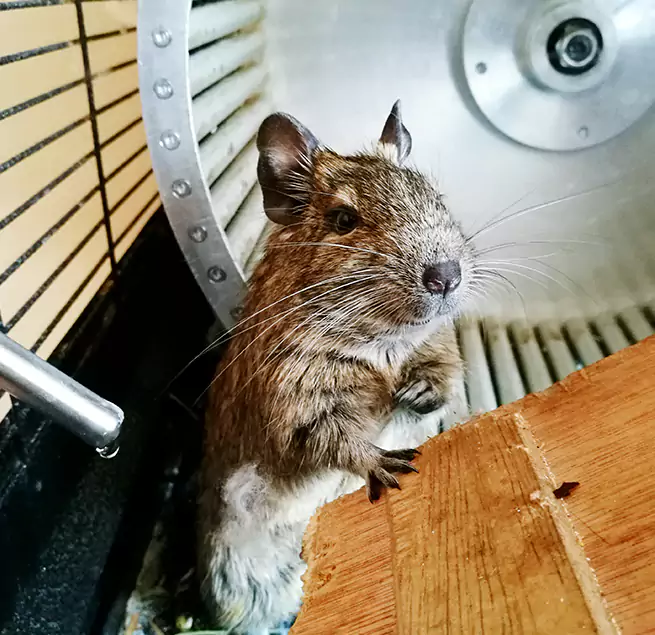 Why Homeowners & Businesses Trust Us Laguna Beach, CA