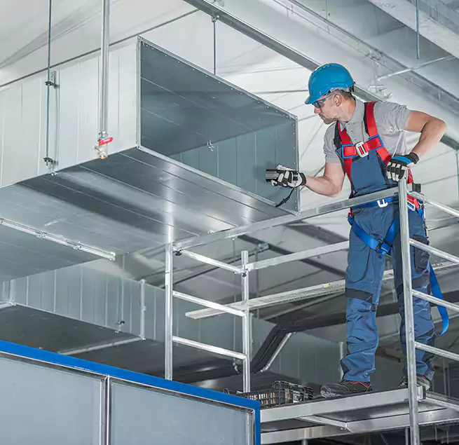 Why Homeowners & Businesses Trust Us in Laguna Beach, CA?