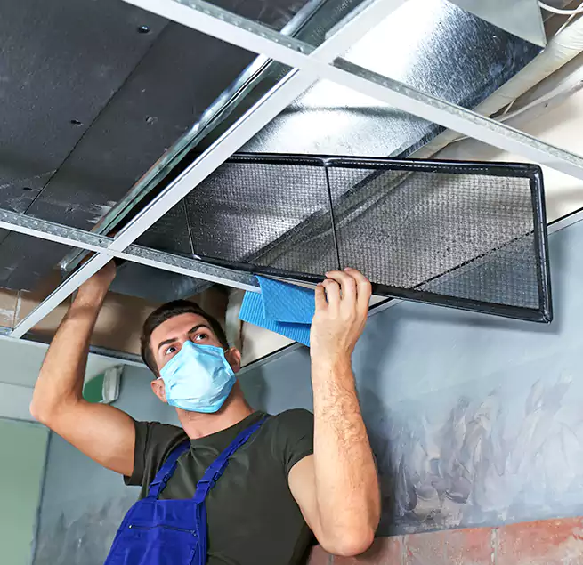 Why Homeowners Businesses Trust Us in Laguna Beach, CA