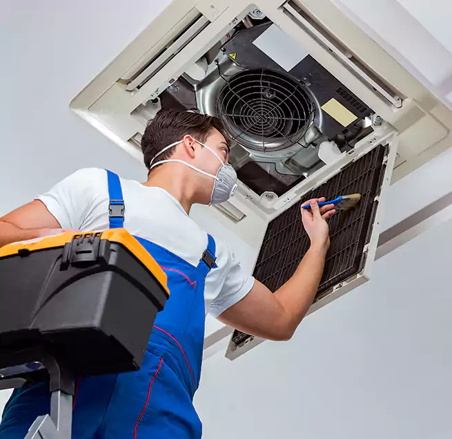 Why Homeowners & Businesses Trust Us in Laguna Beach, CA