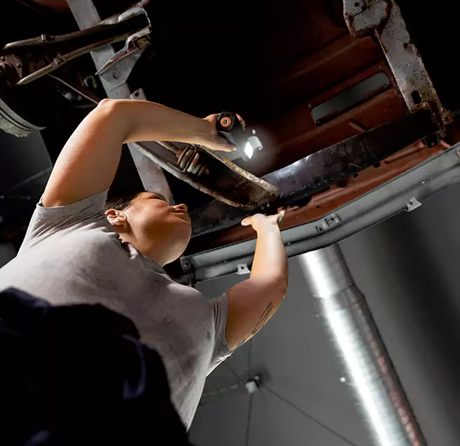 Why Homeowners & Businesses Trust Us Laguna Beach, CA